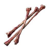 Thin Animal Bones-image